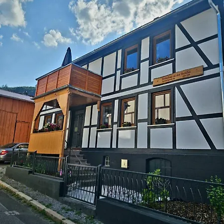 Zu Den Ilsefaellen I Ilsenburg